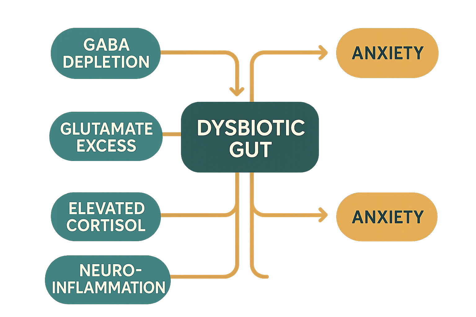 Diagram showing the four pathways from gut dysbiosis to anxiety symptoms: GABA depletion, glutamate excess, cortisol elevation, and neuroinflammation